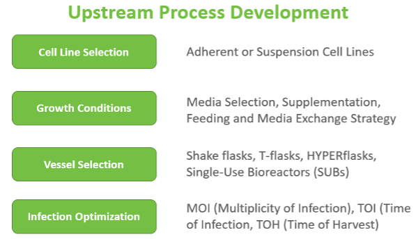 biologics upstream development Images High Quality... Upstream Development of a Viral Vectored Vaccine | APC